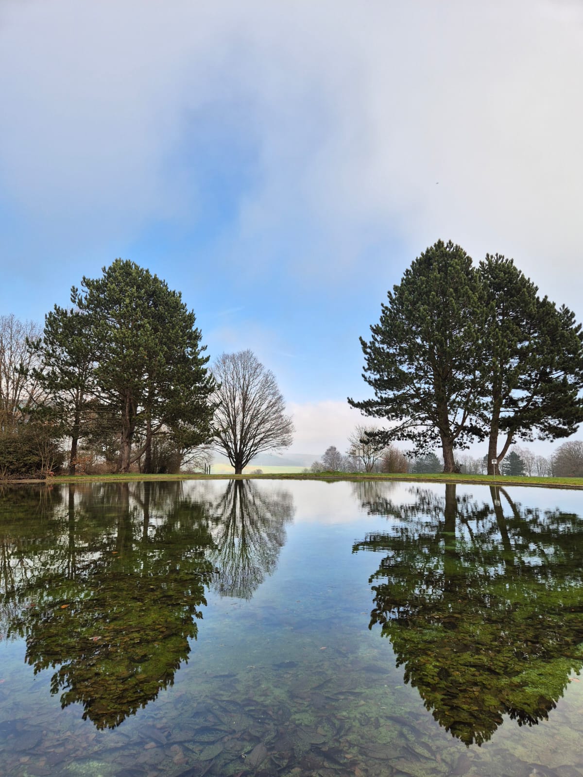Bild von einem See mit sich spiegelnden Bäumen