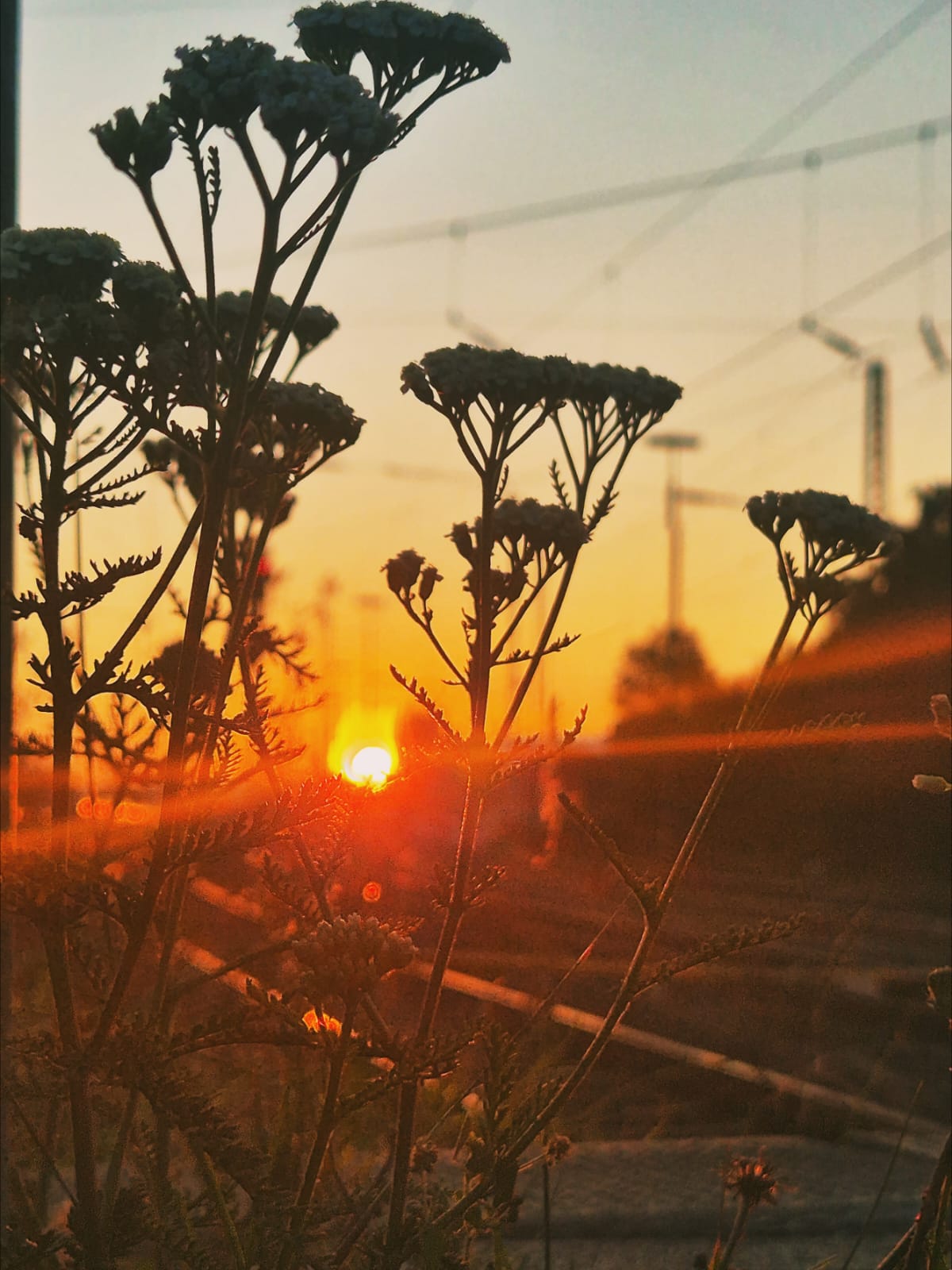 Bild eines Sonnenaufgangs an Bahnschienen