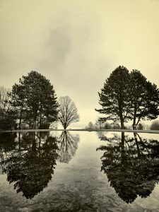 See in Bad Zwesten in schwarz und weiß