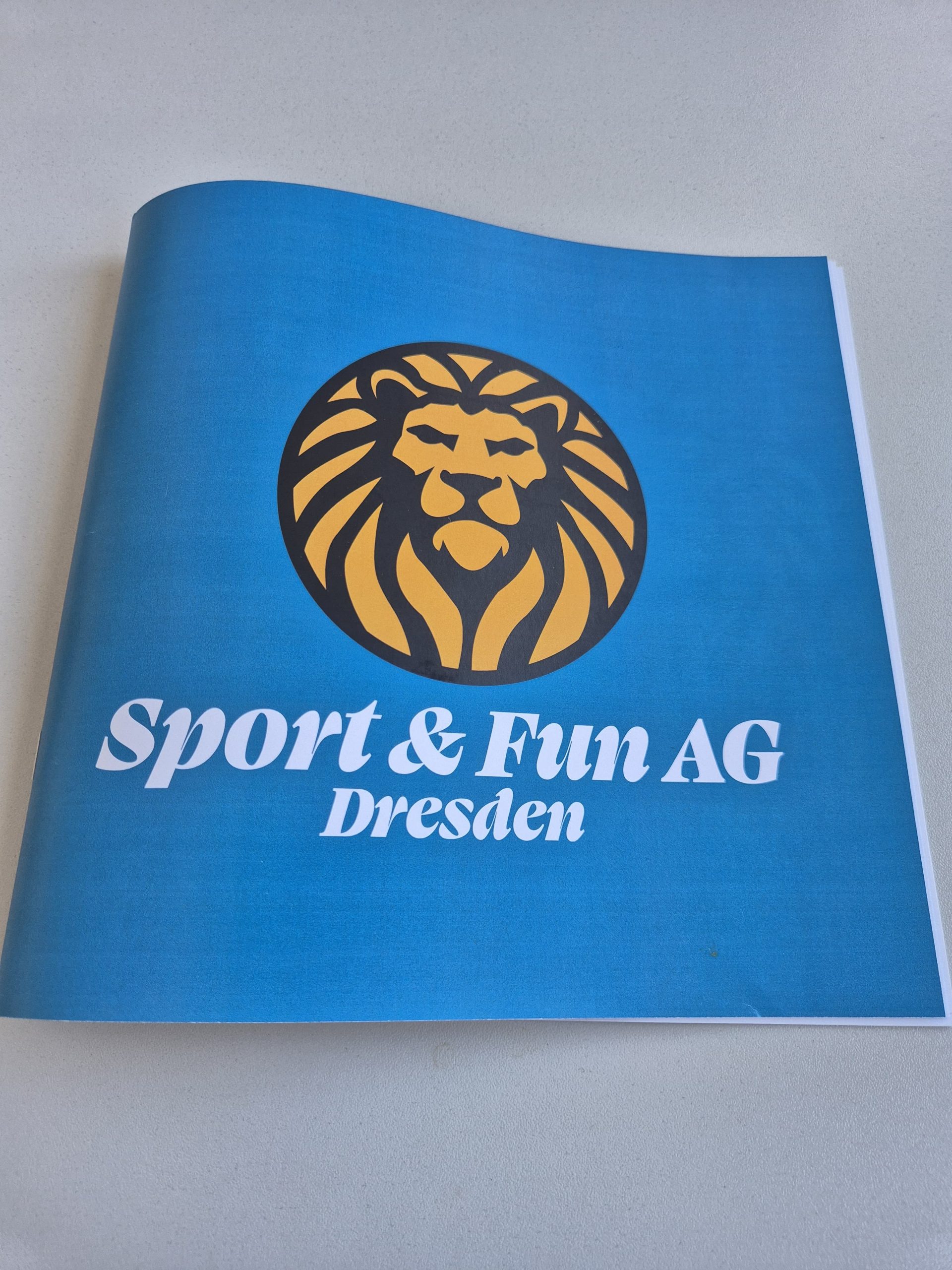 Titelblatt meiner Broschüre aus dem DTP Projekt mit selbstgezeichnetem Logo